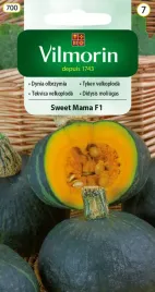 vilmorin-dynia-olbrzymia-zwyczajna-sweet-mama-f1-7szt-zielona-slodka