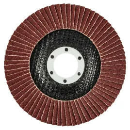 sciernica-listkowa-115-x-22-2-mm-k120-55h985