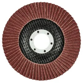 sciernica-listkowa-115-x-22-2-mm-k100-55h984