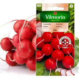 rzodkiewka-okragla-jolly-najwczesniejsza-5g-smaczna-bogata-w-witamine-c