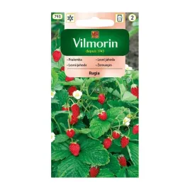 vilmorin-poziomka-rugia-02g-nasiona-poziomki-dzika-truskawka-plenna