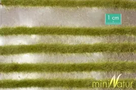 mininatur-dwukolorowe-paski-wiosennej-trawy-336-cm