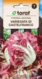 cykoria-lisciowa-variegata-di-castelfranco-nasiona-toraf-5g