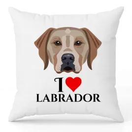 poduszka-biala-ozdobna-40x40cm-i-love-labrador-ulubione-rasy-psow-wzory