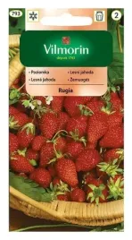 vilmorin-poziomka-rugia-02g