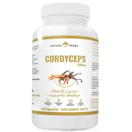 cordyceps-750mg-kordyceps-maczuznik-odpornosc-alto-pharma-120-wege-kaps