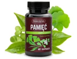 skoczylas-pamiec-milorzab-bakopa-l-teanina-ginkgo-biloba-suplement-60-kaps