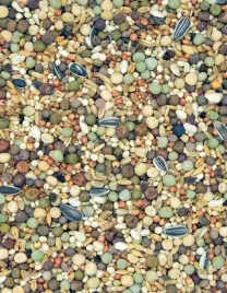 karma-dla-golebi-junior-odchowowa-jo-25-kg-mdm