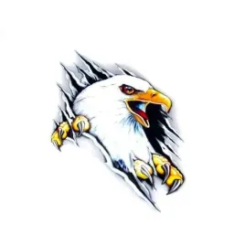 naklejka-nalepka-orzel-blacha-bialy-filtr-uv