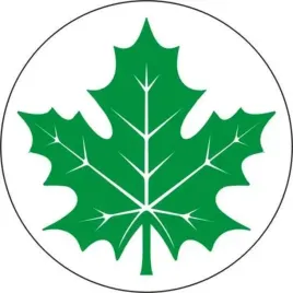 naklejka-nalepka-zielony-listek