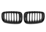 atrapa-grill-nerki-bmw-x5-e70-2006-2013-e71-08-
