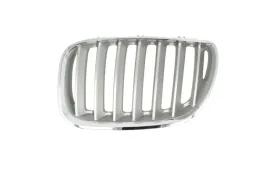 atrapa-nerka-grill-bmw-x5-e53-99-03-lewa-tytan