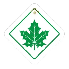 naklejka-przyssawka-zielony-lisc-listek-poczatkuja