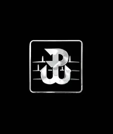 naklejka-nalepka-polska-walczaca-srebrny-niklowana-wypukla-38x38-cm