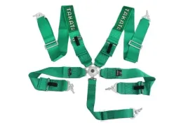 pasy-sportowe-5p-3-zielone-takata-replica-harness