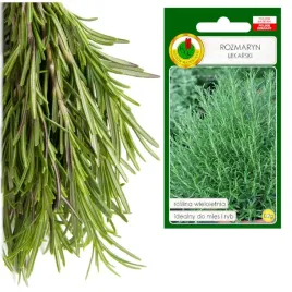 rozmaryn-przyprawa-ziola-wieloletnie-idealne-do-mies-ryb-0-2g