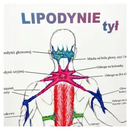 tablica-anatomiczna-plakat-lipodynie-tyl