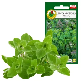 oregano-lebiodka-ziola-nasiona-ziol-bez-gmo