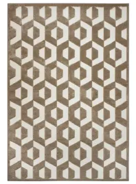 dywan-nowoczesny-do-salonu-160x235cmsznurkowy-plasko-tkany-z-wlosem