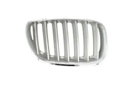 atrapa-nerka-grill-bmw-x5-e53-99-03-prawa-tytan