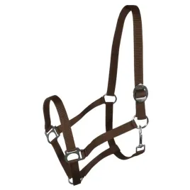 kantar-york-harmony-brazowy-pony