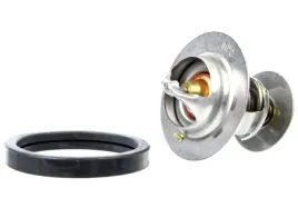 termostat-ford-fiesta-mondeo-sierra-scorpio