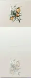 notes-z-magnesem-obys-mandarynki-rozmiar-a7