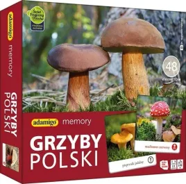 gra-grzyby-polski