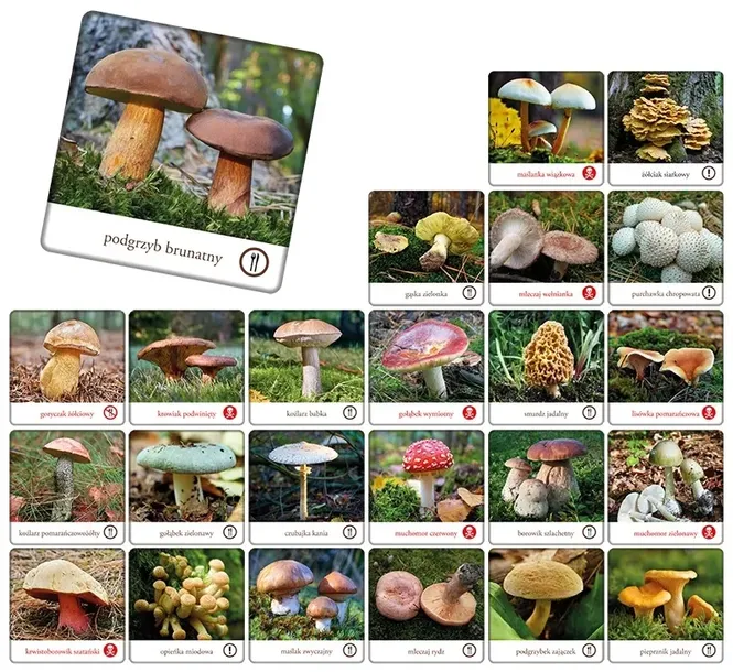 gra-grzyby-polski-waga-z-opakowaniem-0-535-kg