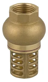 zawor-zwrotny-1-z-koszem-ssacym-ferro