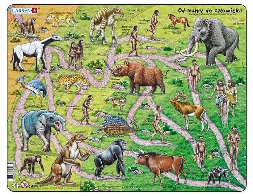 puzzle-ukladanka-od-malpy-do-czlowieka-83-elementy-stan-nowy