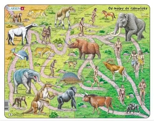 puzzle-ukladanka-od-malpy-do-czlowieka-83-elementy-kod-producenta-32459