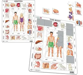 puzzle-ukladanka-larsen-nasze-cialo-czlowieka