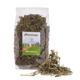 ziele-melisy-dla-krolikow-i-gryzoni-factoryherbs