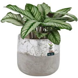 doniczka-donica-115-ceramiczna-kwiaty-ziola-rosliny-oslonka-nieszkliwiona