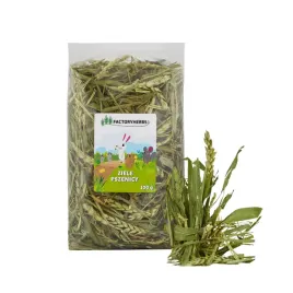 ziele-pszenicy-100g-kroliki-gryzonie-factoryherbs