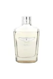 bentley-infinite-edt-100ml