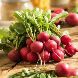 rzodkiewka-helro-era-nasiona-rzodkiewki-czerwona-wczesna-szybkie-plony