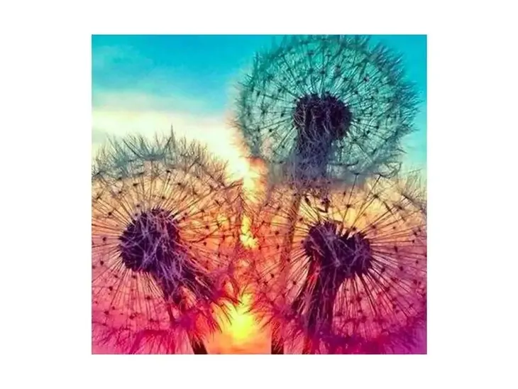 haft-diamentow-mozaika-dmuchawce-stan-nowy-kod-producenta-h16212