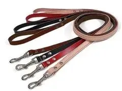 smycz-tradycyjna-zooleszcz-skora-120-m