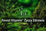 mocna-witamina-b12-metylokobalamina-250-tabletek-stan-opakowania-oryginalne-producent-wyrobu-medycznego-inny