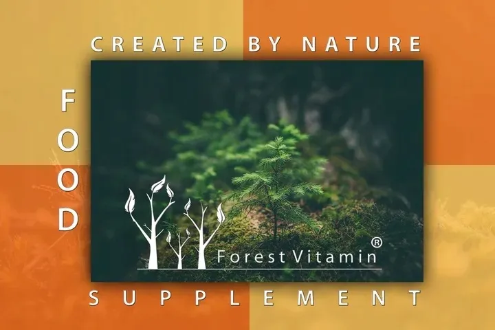 forest-witamina-e-naturalna-zdrowie-mlodosc-100kap-nazwa-witamina-e-naturalna-100-kapsulek
