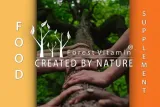 forest-witamina-e-naturalna-zdrowie-mlodosc-100kap-rodzaj-na-odpornosc