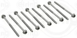 zestaw-srub-glowicy-cylindrow-elring-725-310