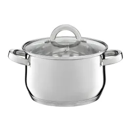 garnek-ze-stali-nierdzewnej-61l-indukcja-24cm-gaz-z-pokrywa-ambition-berry
