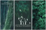 forest-tudca-kwas-tauroursodeoksycholowy-60-kaps-wyrob-medyczny-nie