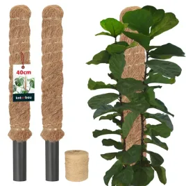 2x-podpora-do-roslin-tyczka-palka-40-cm-wlokno-kokosowe-32-palik-sznurek
