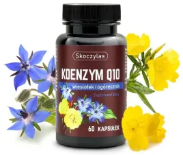 koenzym-q10-wiesiolek-i-ogorecznik