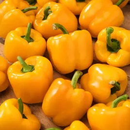 papryka-slodka-calipso-do-tunelu-i-gruntu-block-zolta-nasiona-papryki