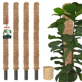 4x-podpora-do-roslin-80-cm-tyczka-palka-wlokno-kokosowe-palik-kokosowy-32